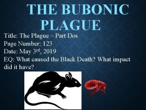 THE BUBONIC PLAGUE Title The Plague Part Dos
