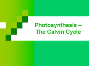 Calvin cycle Calvin cycle