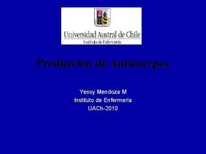 Produccin de Anticuerpos Yessy Mendoza M Instituto de