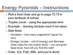 Temperate grassland energy pyramid