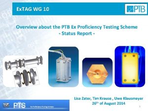 Ex TAG WG 10 Overview about the PTB