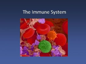 The Immune System 1 What is a pathogen