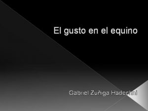 El gusto en el equino Gabriel Zuiga Hadechni