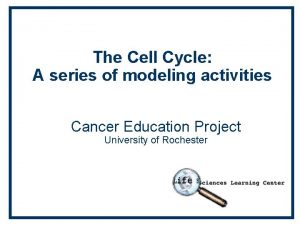 Cell cycle wheel