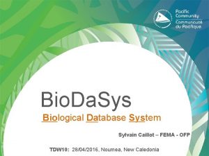Bio Da Sys Biological Database System Sylvain Caillot