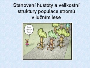 Stanoven hustoty a velikostn struktury populace strom v