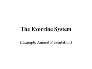 The Exocrine System Example Animal Presentation What is