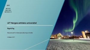 Ui T Norges arktiske universitet Sigrid Ag Seksjonssjef