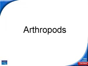 Section 28-1 introduction to the arthropods