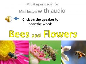 Mr Harpers science Mini lesson with audio Click