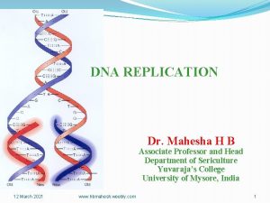 DNA REPLICATION Dr Mahesha H B Associate Professor