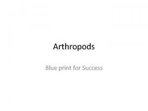 Arthropods Blue print for Success Arthropod Characteristics Includes