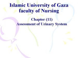 Islamic University of Gaza faculty of Nursing Chapter