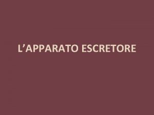 LAPPARATO ESCRETORE GENERALIT Le reazioni del catabolismo cellulare