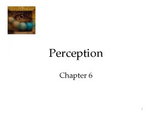 Perception Chapter 6 1 Perception The process of