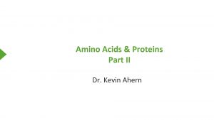 Amino Acids Proteins Part II Dr Kevin Ahern