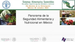 Panorama de la Seguridad Alimentaria y Nutricional en