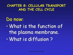 CHAPTER 8 CELLULAR TRANSPORT AND THE CELL CYCLE