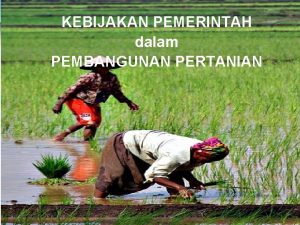 LOGO KEBIJAKAN PEMERINTAH dalam PEMBANGUNAN PERTANIAN LOGO Jumlah