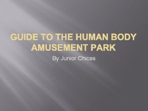 Body system amusement park