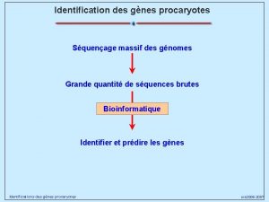 Identification des gnes procaryotes Squenage massif des gnomes