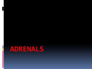ADRENALS Objectives History Embryology Anatomy Physiology Imaging Surgical
