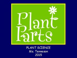 Plant organs