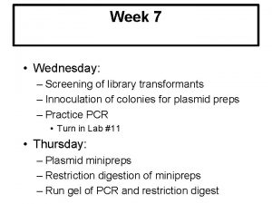 Week 7 Wednesday Screening of library transformants Innoculation