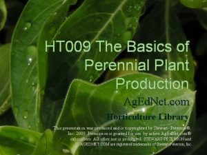 HT 009 The Basics of Perennial Plant Production