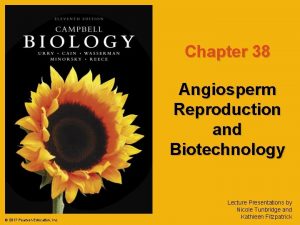 Chapter 38 Angiosperm Reproduction and Biotechnology 2017 Pearson