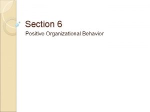 Positive organizational behavior