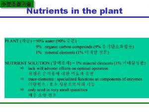 Nutrients in the plant Uptake water NitrogenNitrate NO