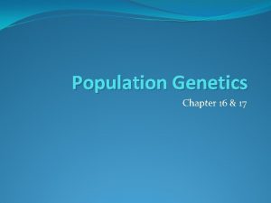 Chapter 16 evolution of populations vocabulary review