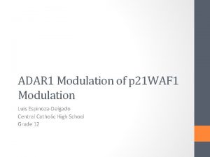 ADAR 1 Modulation of p 21 WAF 1