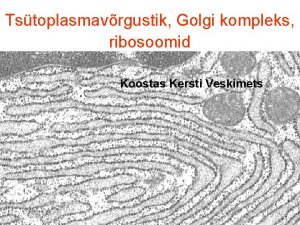 Golgi kompleks ülesanne