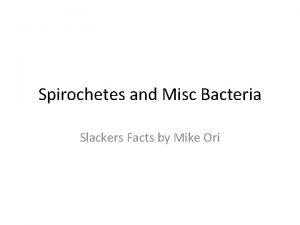 Spirochetes and Misc Bacteria Slackers Facts by Mike