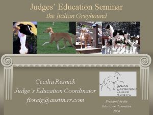 Judges Education Seminar the Italian Greyhound Cecilia Resnick