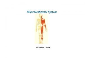 Musculoskeletal System Dr Malak Qattan Musculoskeletal System The
