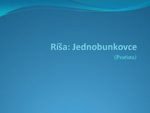 Ra Jednobunkovce Protista loha 1 Charakterizujte jednobunkovce z