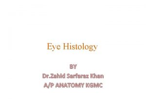 Eye Histology BY Dr Zahid Sarfaraz Khan AP
