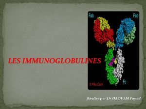 Pluricatenaire