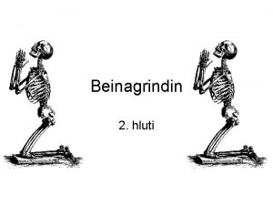 Beinagrindin 2 hluti Skipting beinagrindarinnar Skeleton axialis mndulhluti