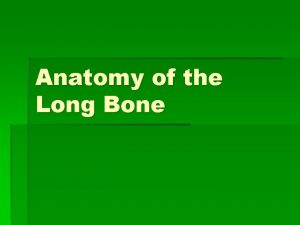 Anatomy of the Long Bone About Bone t
