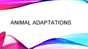 ANIMAL ADAPTATIONS c Mc Graw Hill Ryerson 2007