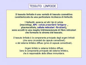 Tessuto linfoide diffuso