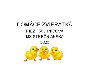 DOMCE ZVIERATK INEZ KACHNIOV M STRENIANSKA 2020 POMENUJ