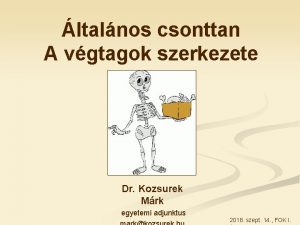 ltalnos csonttan A vgtagok szerkezete Dr Kozsurek Mrk