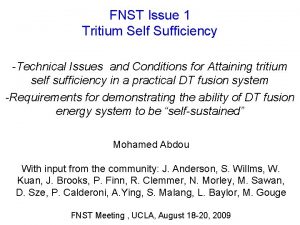 FNST Issue 1 Tritium Self Sufficiency Technical Issues
