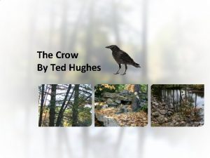 Who wrote the crow poem