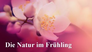 Die Natur im Frhling Rtsel Alles ist wei